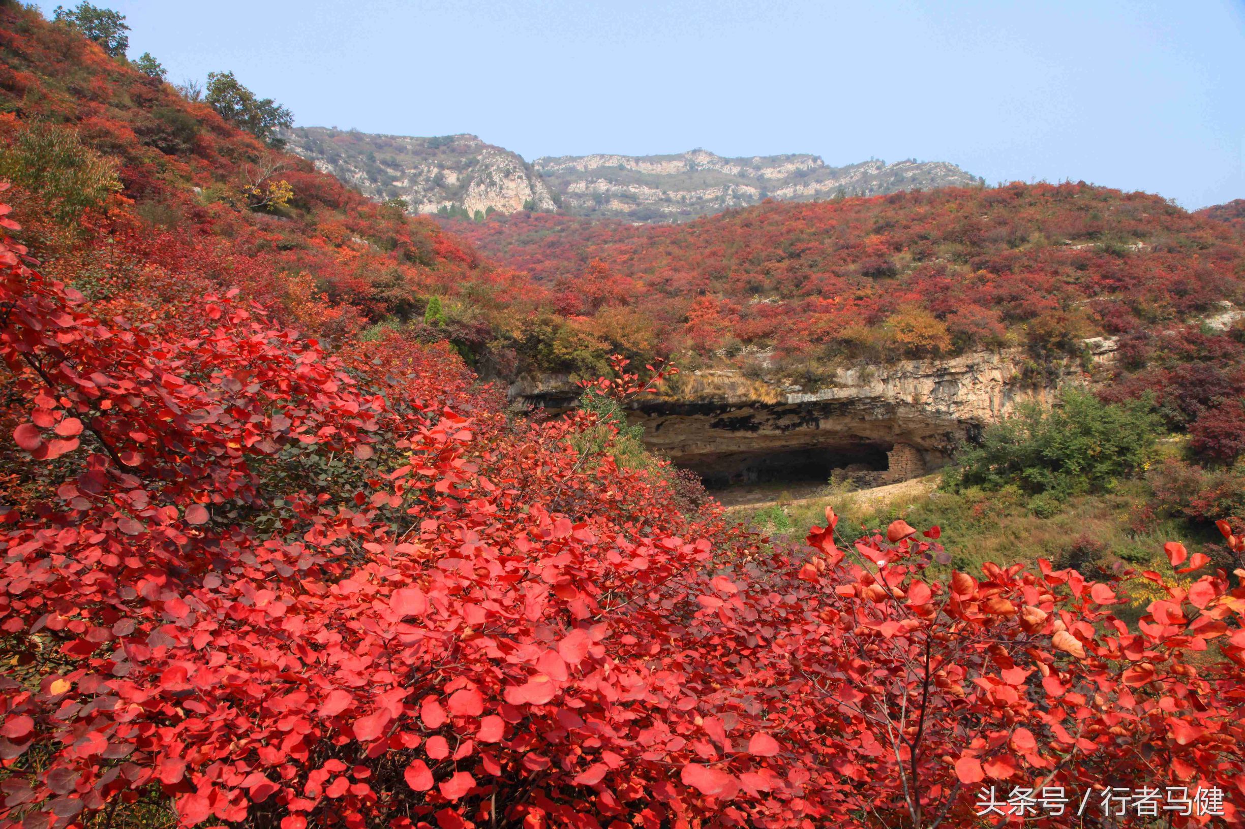 错过了邢台云梦山，太行山最大的红叶区，就相当于错过了整个秋天