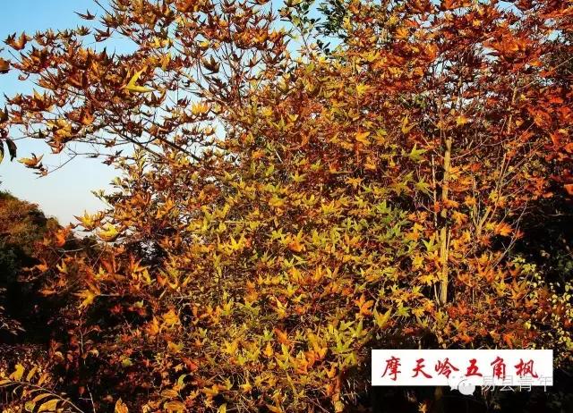 易县蔡家峪风景区有瀑布吗,易县蔡家峪景区人多吗