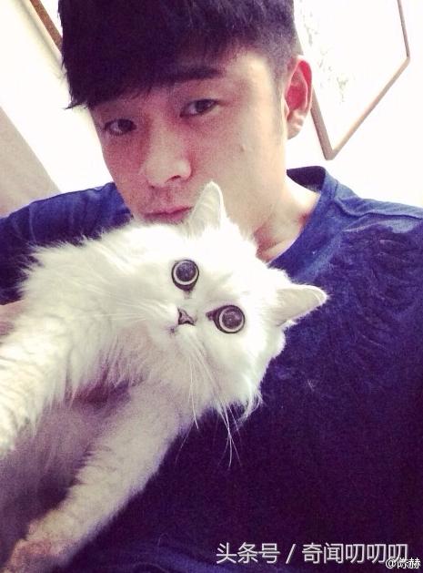 陈赫官宣生二胎了吗,陈赫官宣二胎成功了吗