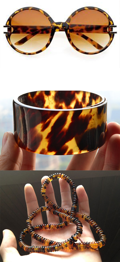 阿蒙课堂-海洋中的瑰宝：玳瑁