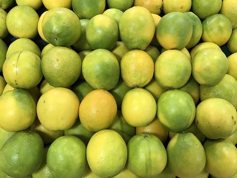 iphone7全系列解析,如期而至是什么意思