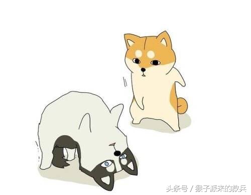 觉得男朋友是智障怎么办,感觉男朋友是智障