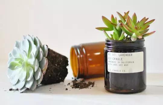 空的乳液瓶可以做什么,不要的护肤品瓶能做什么