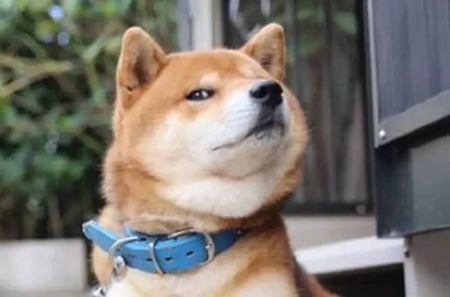 自主车品牌真的超越韩系车了吗,自主品牌真的超越合资车了吗