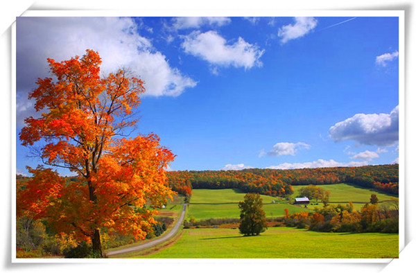 tata木门免费保养流程,百年老木门裂缝翻新保养