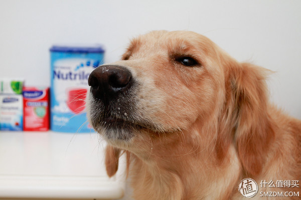 备孕婚前体验,备孕亲身经历和感受