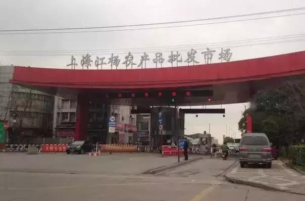 谁做的这本上海生活指南？老结棍了！走遍上海不用愁！