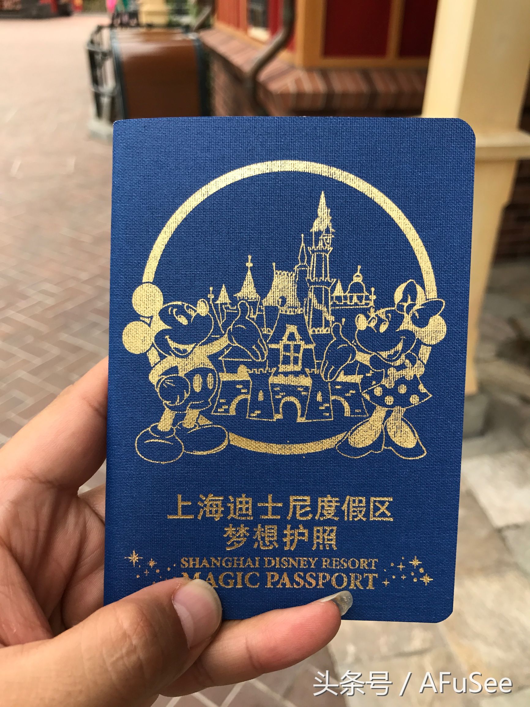 上海迪士尼梦幻游,上海迪士尼梦幻城堡的景区