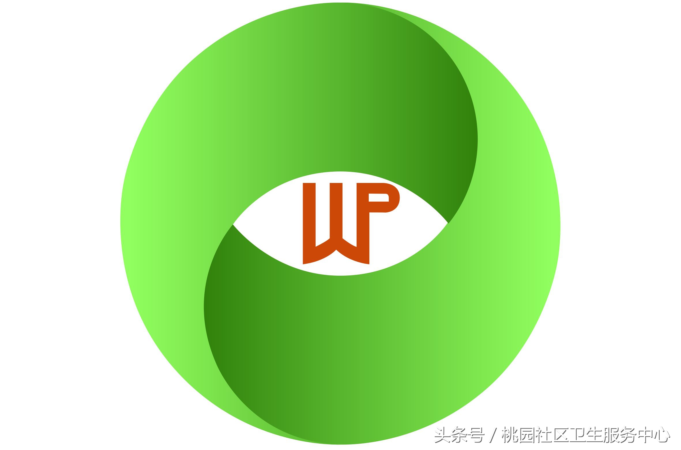 心脏支架说明书,这份通俗易懂的心脏说明书请收好