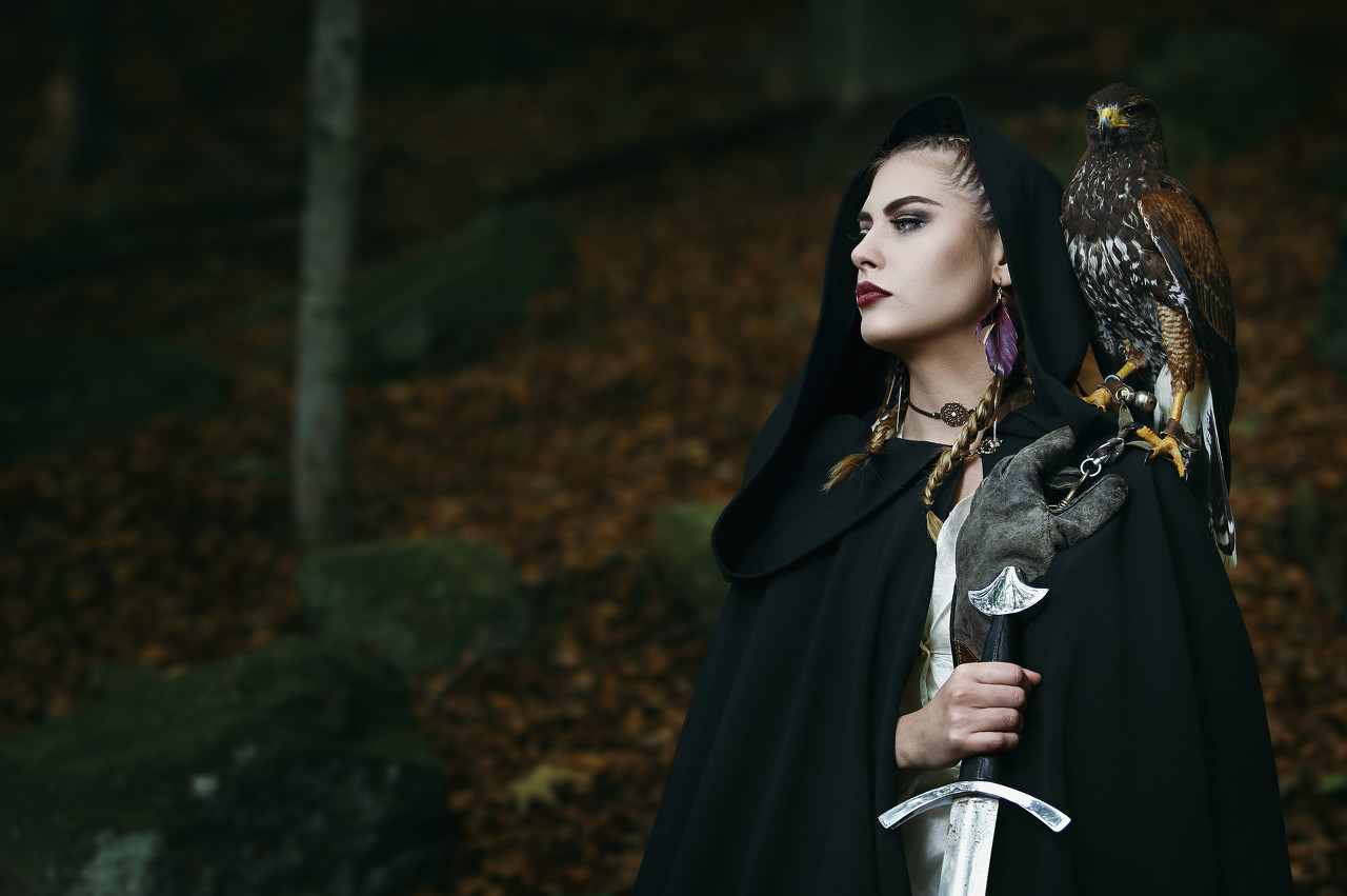 小说里面的迷雾森林,小说中有毒的毒兽