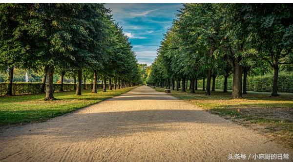 吸入麻醉的副作用和危害,吸入麻醉对脑子有危险