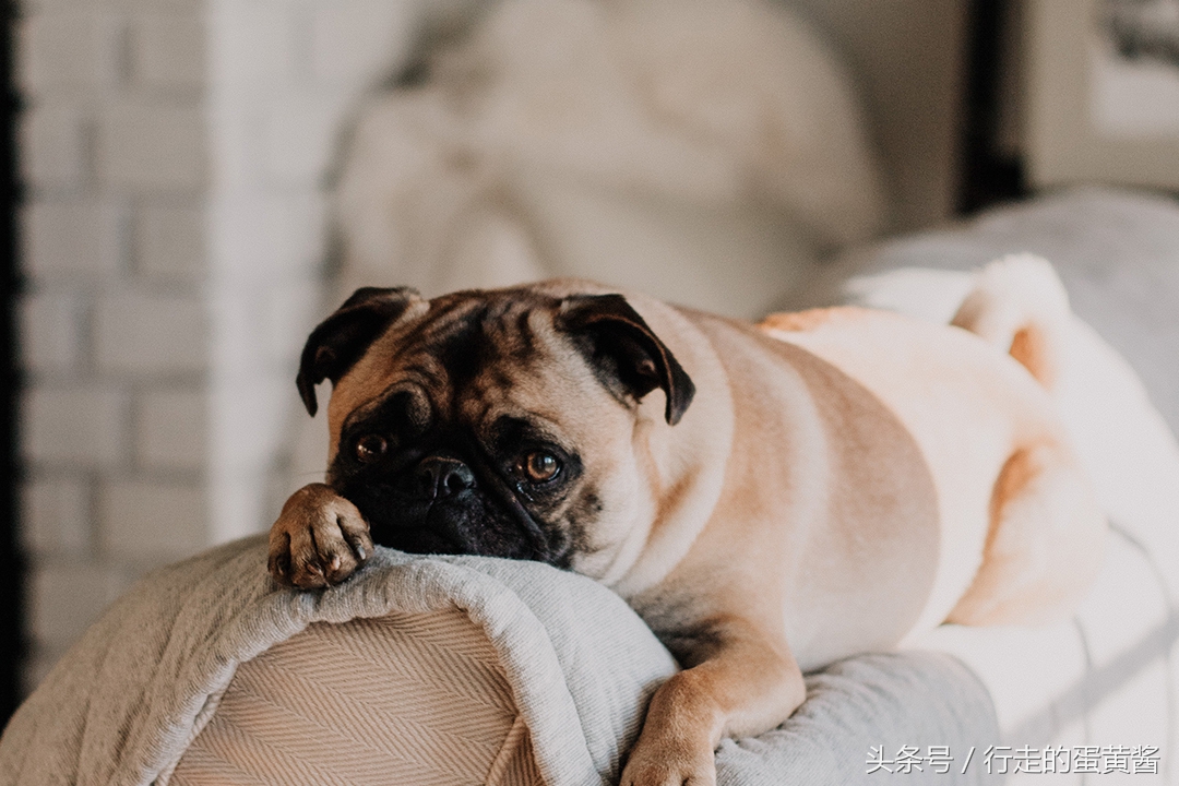 怎样才能摆脱原生家庭的束缚,怎么摆脱原生家庭缺爱