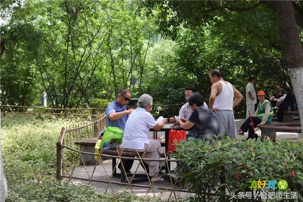 老合肥杏花公园,合肥曾经有两个杏花公园