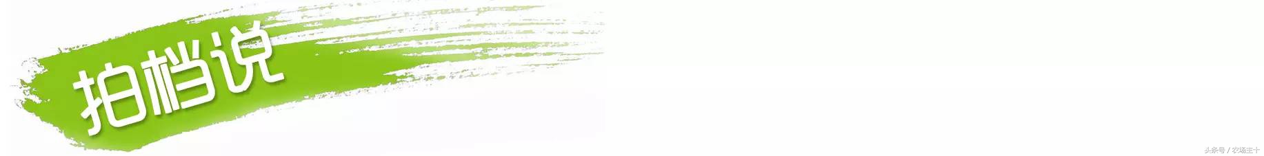 农产品众筹方案,为什么众筹没了