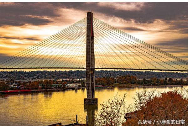 阿片受体激动剂脱毒,阿片受体激动剂