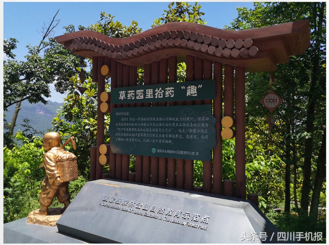 川派中医传承,川派中医养生文化