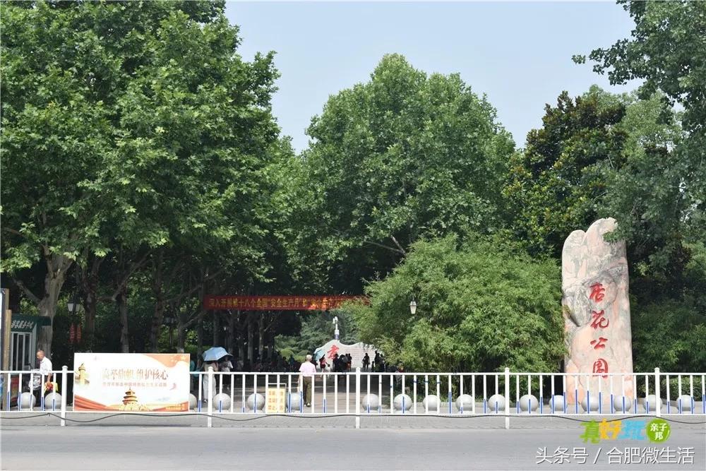 老合肥杏花公园,合肥曾经有两个杏花公园