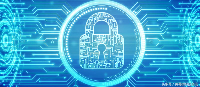 网络安全高危漏洞,网络病毒与网络安全