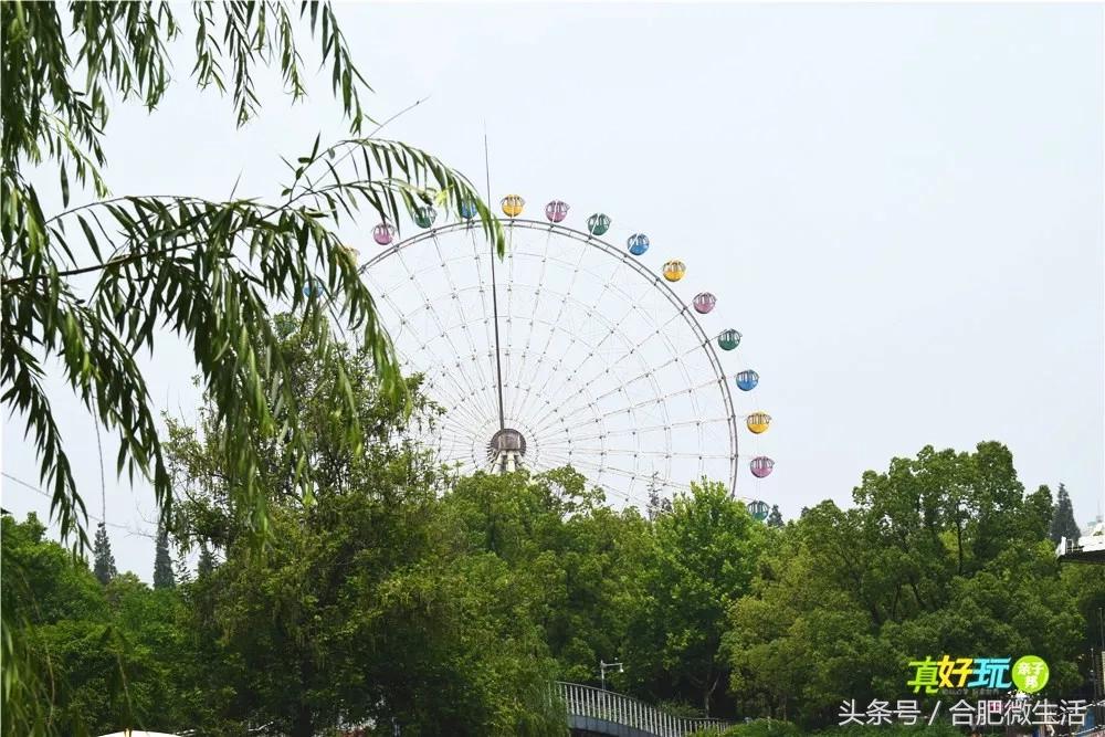 老合肥杏花公园,合肥曾经有两个杏花公园