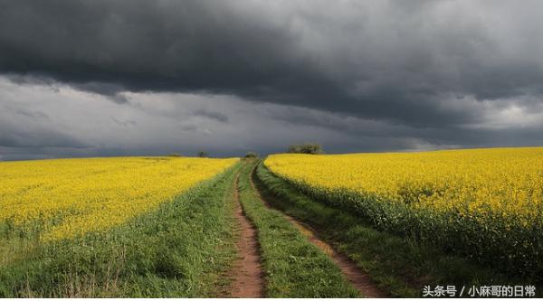 吸入麻醉的副作用和危害,吸入麻醉对脑子有危险