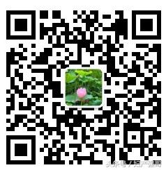 异位妊娠的解释,异位妊娠最常见部位