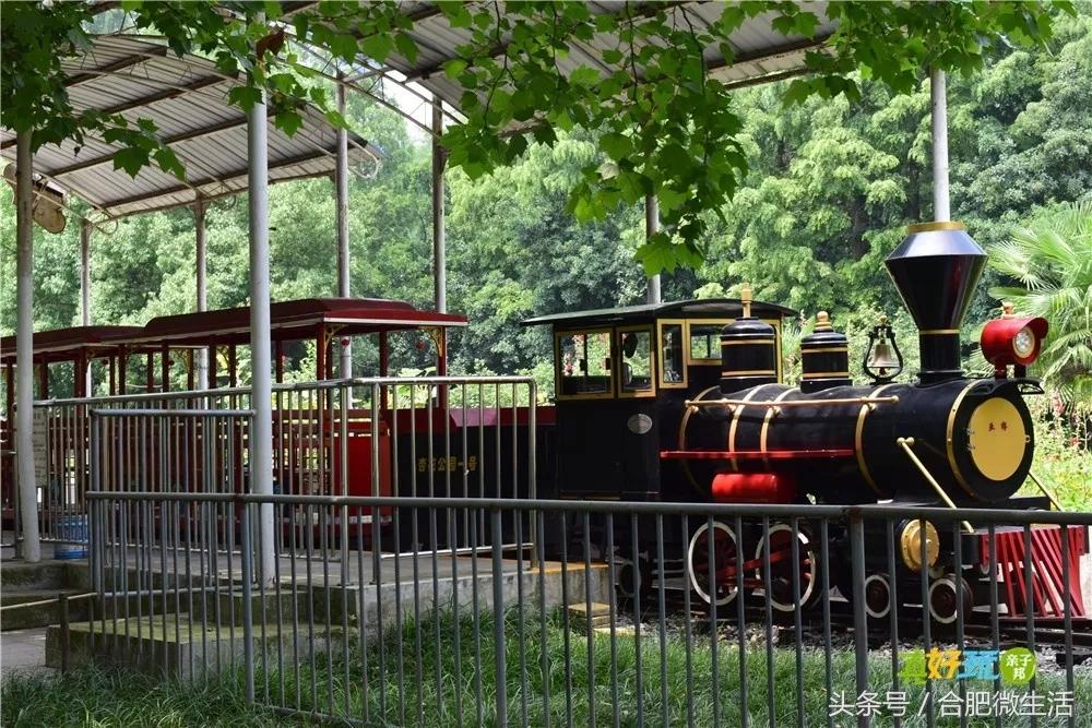 老合肥杏花公园,合肥曾经有两个杏花公园