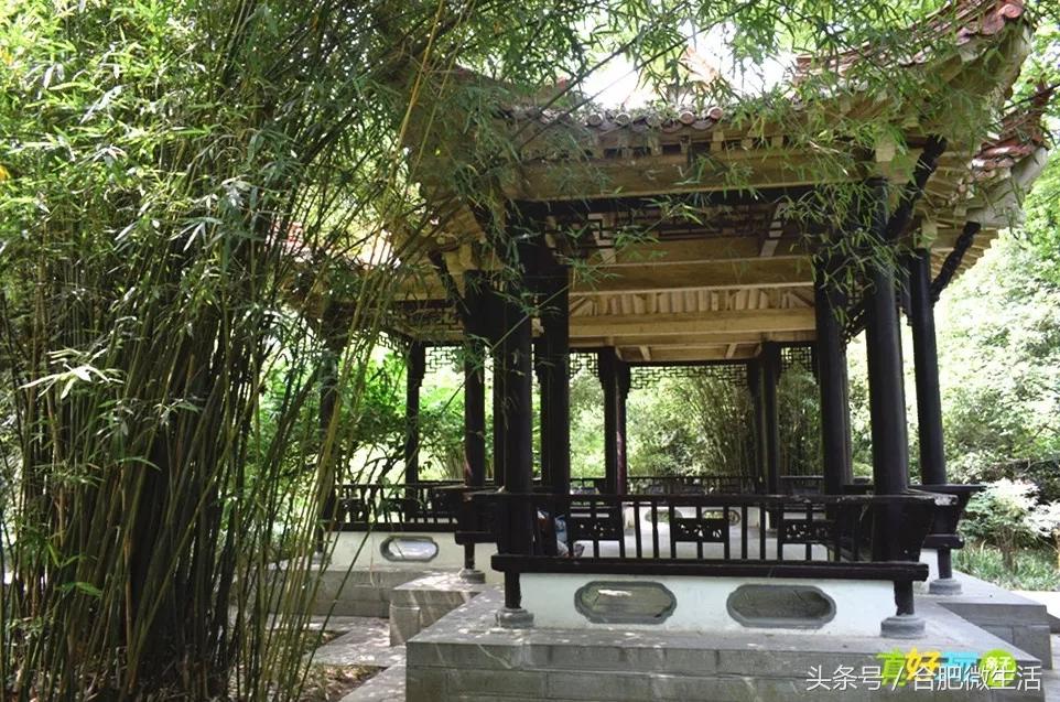 老合肥杏花公园,合肥曾经有两个杏花公园