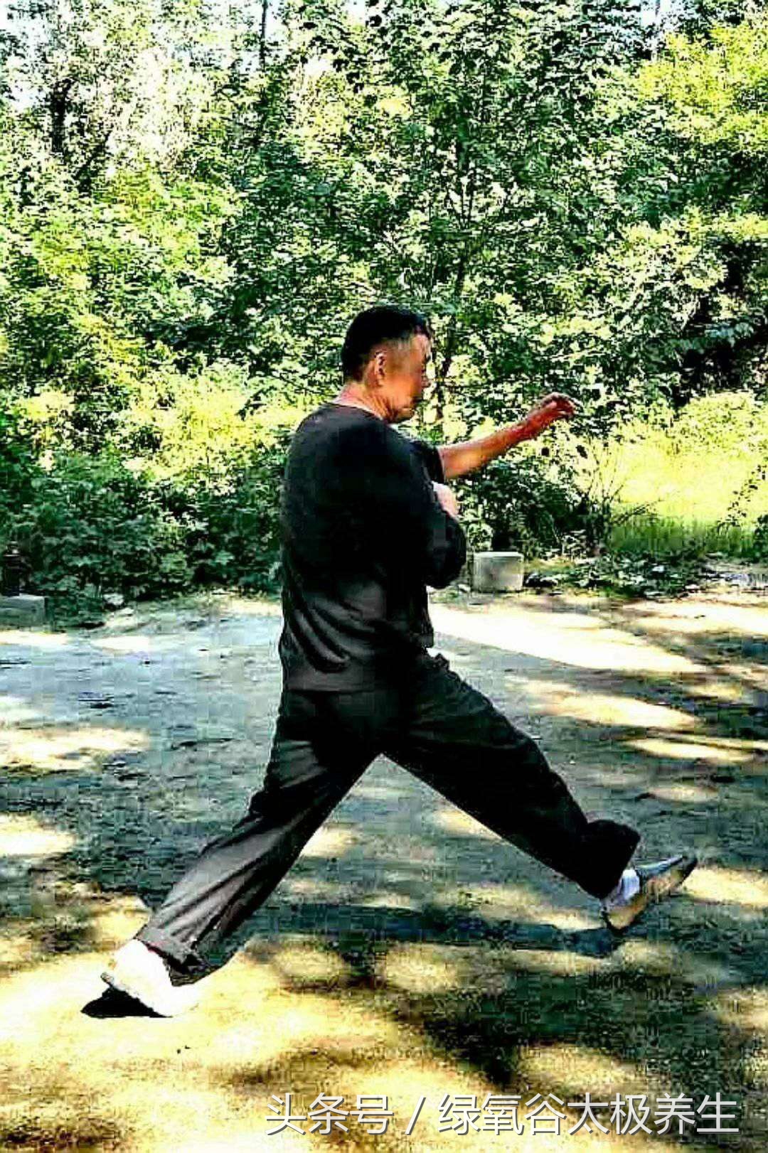 绿氧谷太极拳训练,绿氧谷