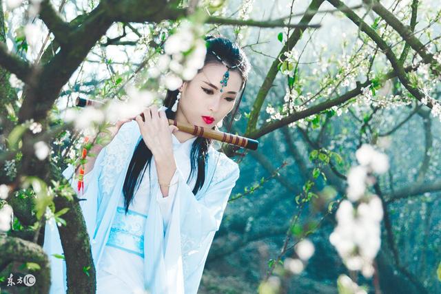 小说：皇后？邻国公主？敢于王妃作对，统统下药！