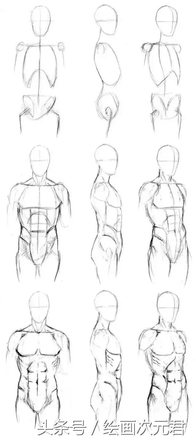 人体结构动态,动态素描·人体结构