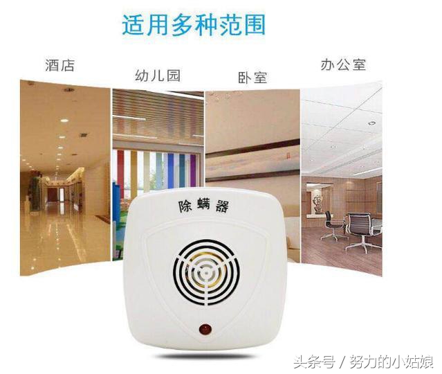 头上为什么会有螨虫？阿婆用一勺盐祛螨，千万螨虫落荒而逃