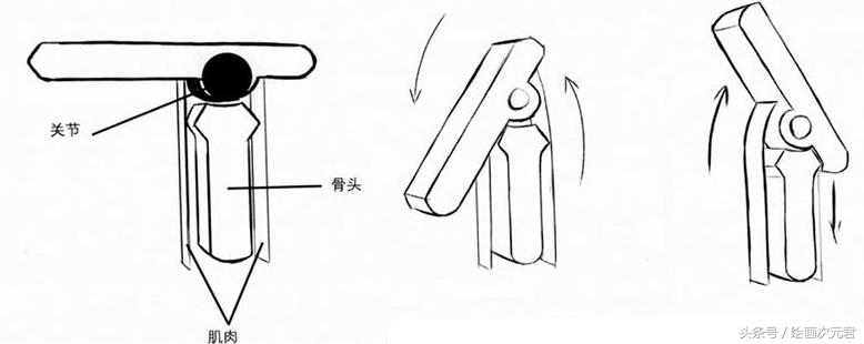 人体结构动态,动态素描·人体结构