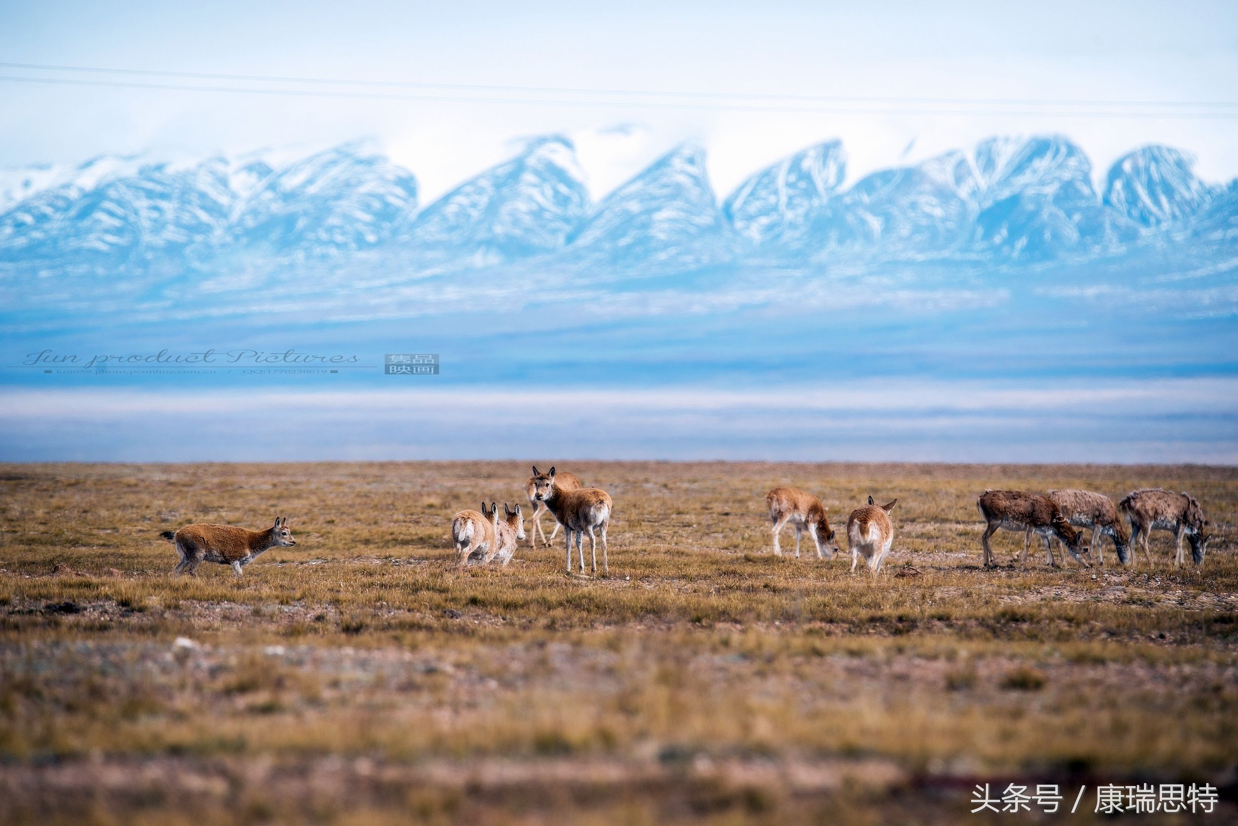 到高原地区应该关注什么,高原缺氧严重会导致什么后果
