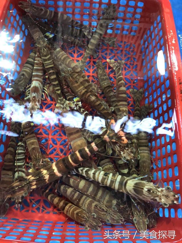 海口一座充满回忆的城市,值得怀念的城市