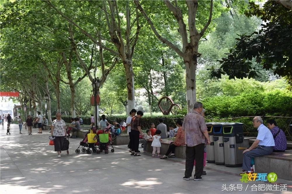 老合肥杏花公园,合肥曾经有两个杏花公园