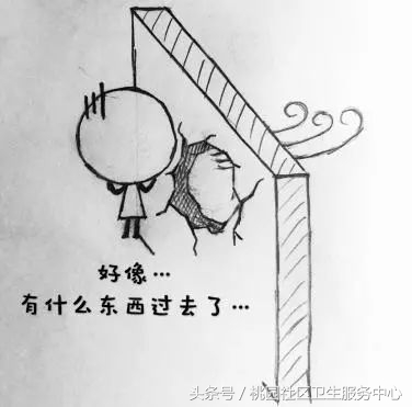 心脏支架说明书,这份通俗易懂的心脏说明书请收好