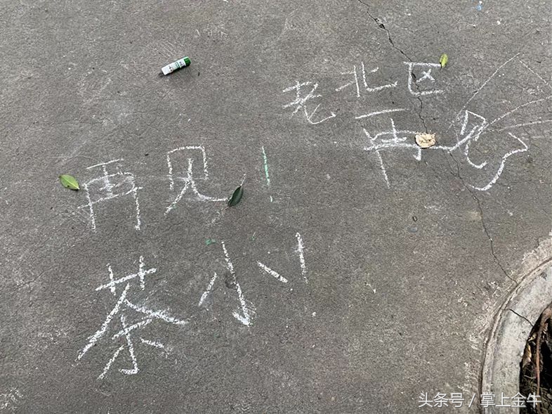 再见茶小，你好新校区！