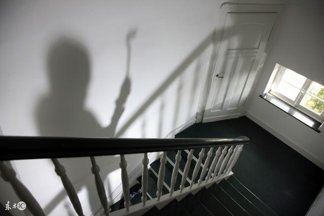 小说：蛇能开口说话，我震惊时，对方钻进身体让我晕了过去