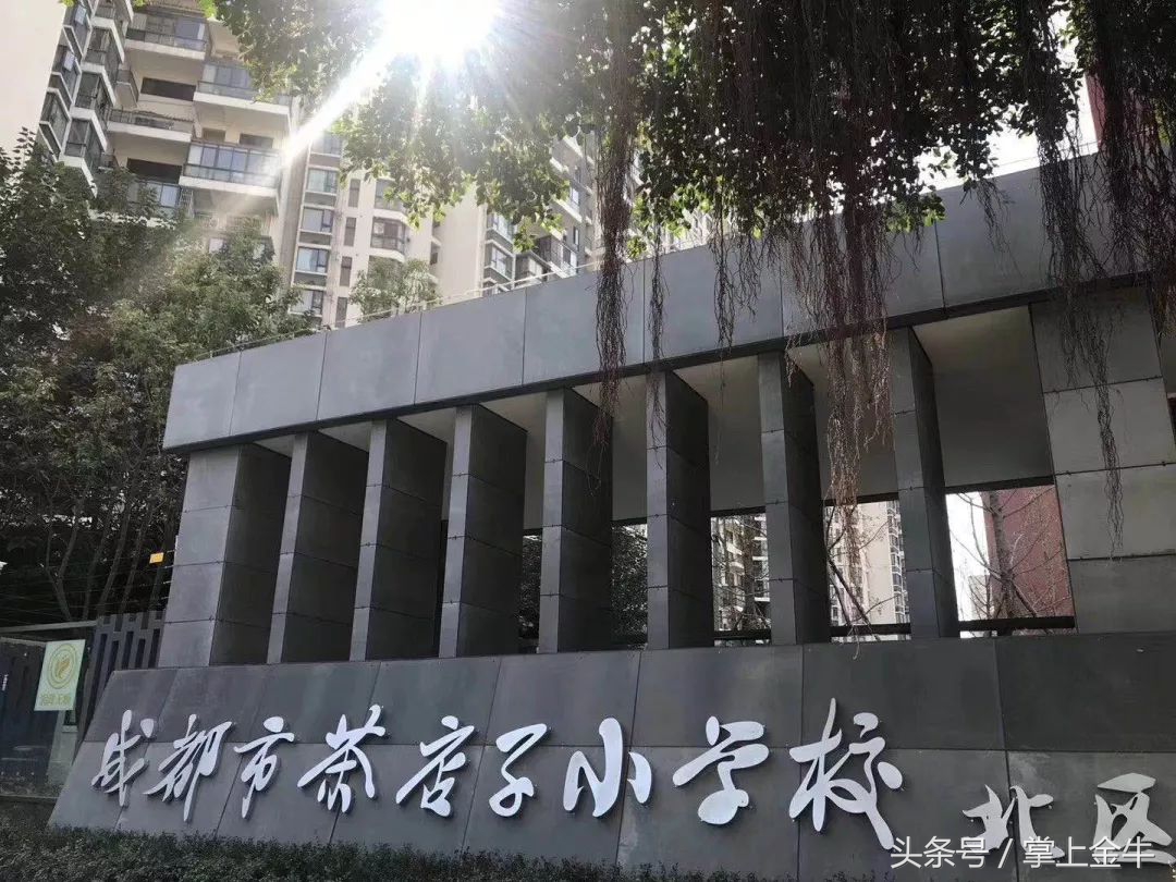 再见茶小，你好新校区！