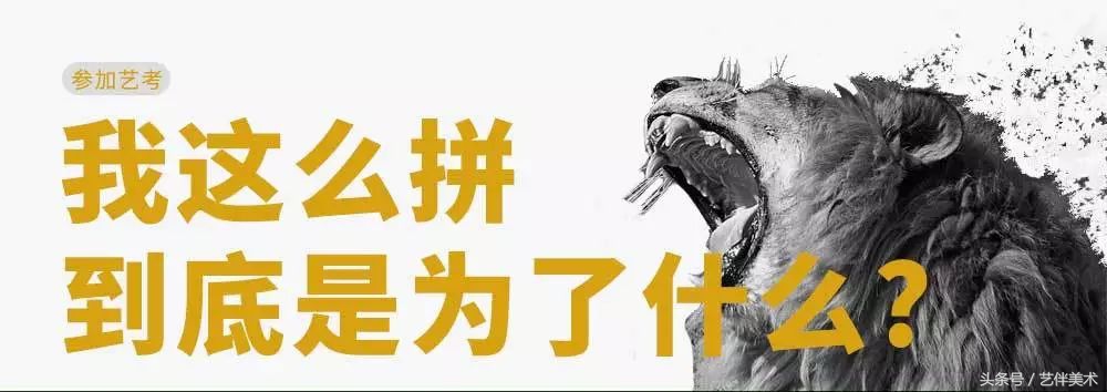 栾树画室地址在哪里,栾树画室学费