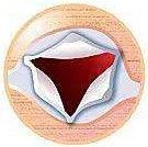 心脏支架说明书,这份通俗易懂的心脏说明书请收好