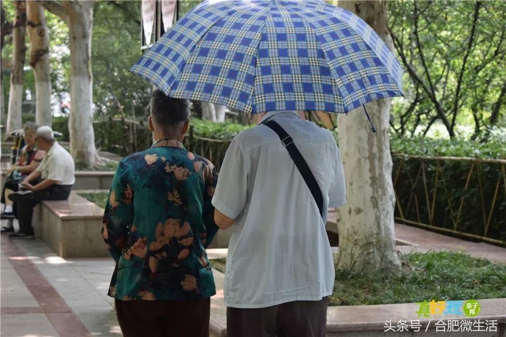 老合肥杏花公园,合肥曾经有两个杏花公园