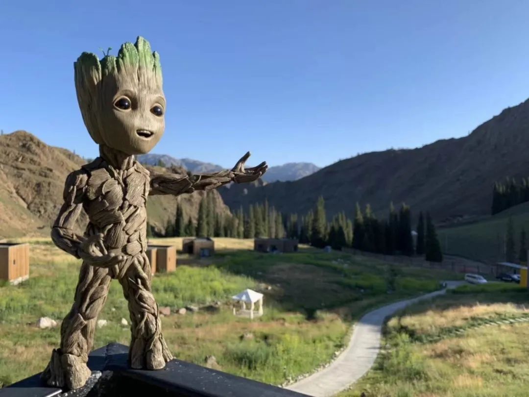 霸气！提前2月预定，仅15间客房，*疆新**这个酒店，够野还够奢