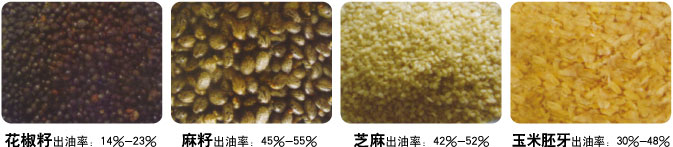 全自动榨油机小作坊项目,全自动榨油机一体