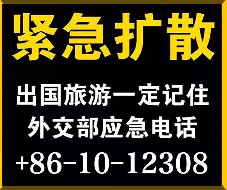 “19岁，她在暗网被30万欧元拍卖”