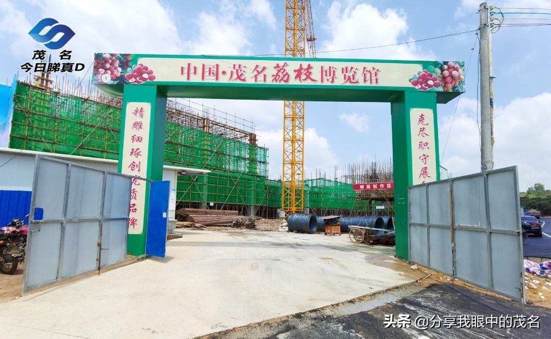 茂名荔枝大会,茂名市520荔枝产业大会