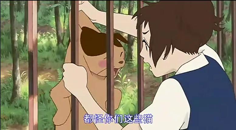 猫的报恩,猫的报恩怎么样