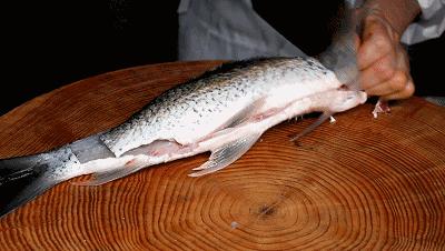 超市里这种鱼千万别再买,爱吃鱼的人关注这种鱼千万不要买