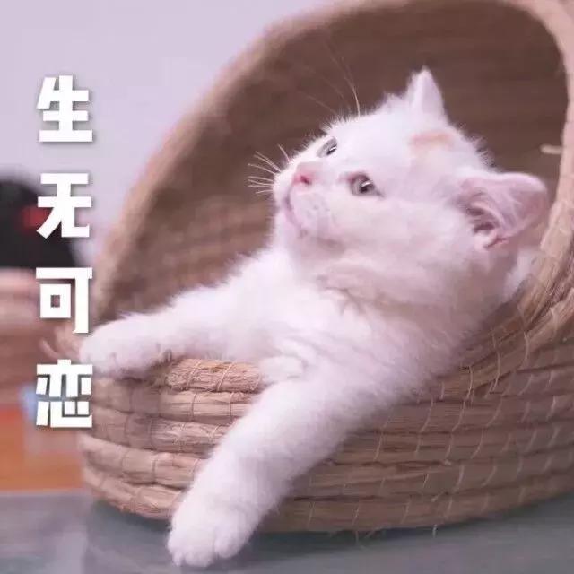 “熊猫眼”自救指南，这9款眼霜我要回购到停产！