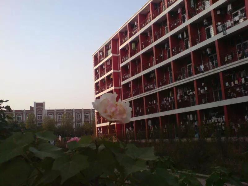 安徽外国语学院排名,安徽省高校总数